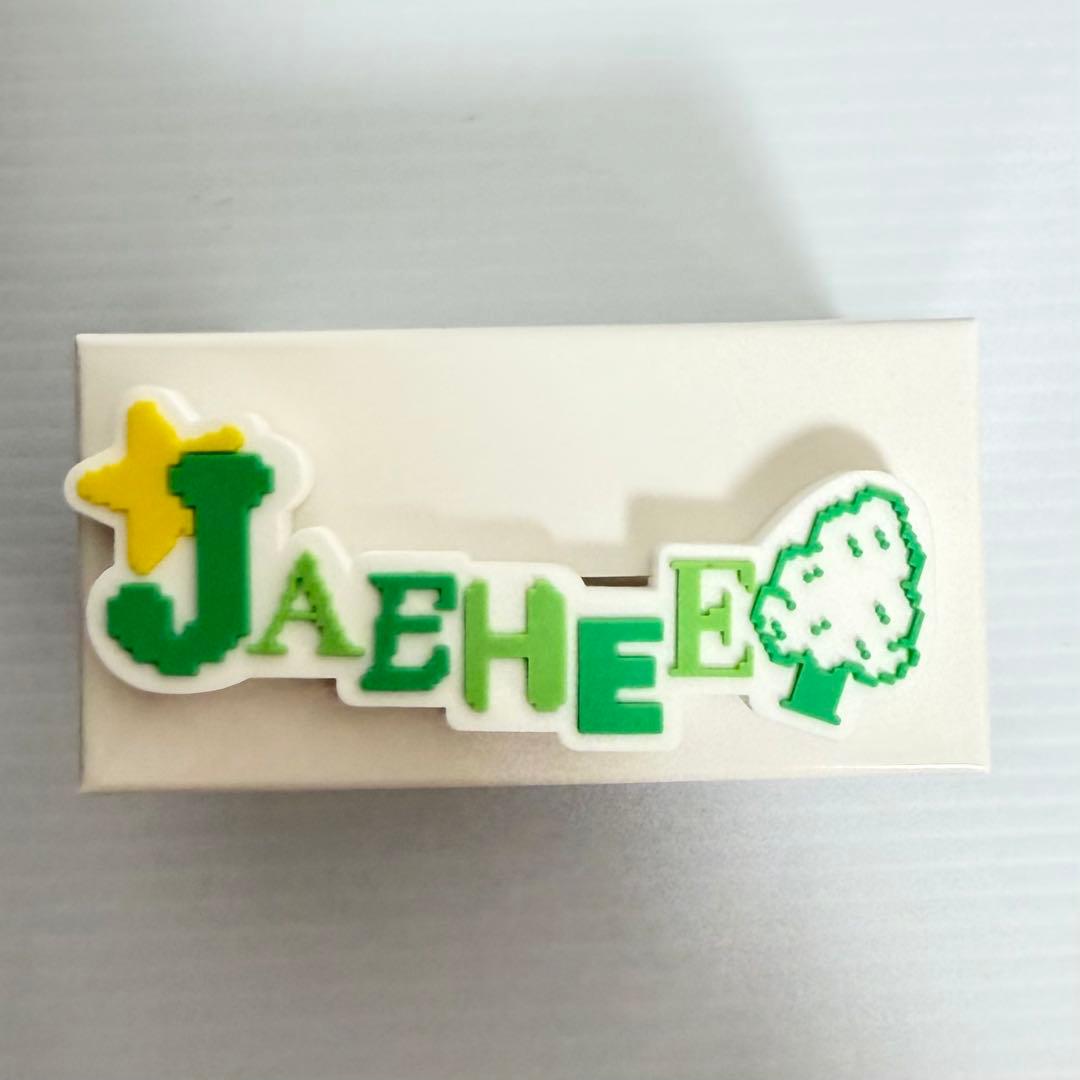 NCT WISH OFFICIAL FANLIGHTアクセサリー　6種コンプ