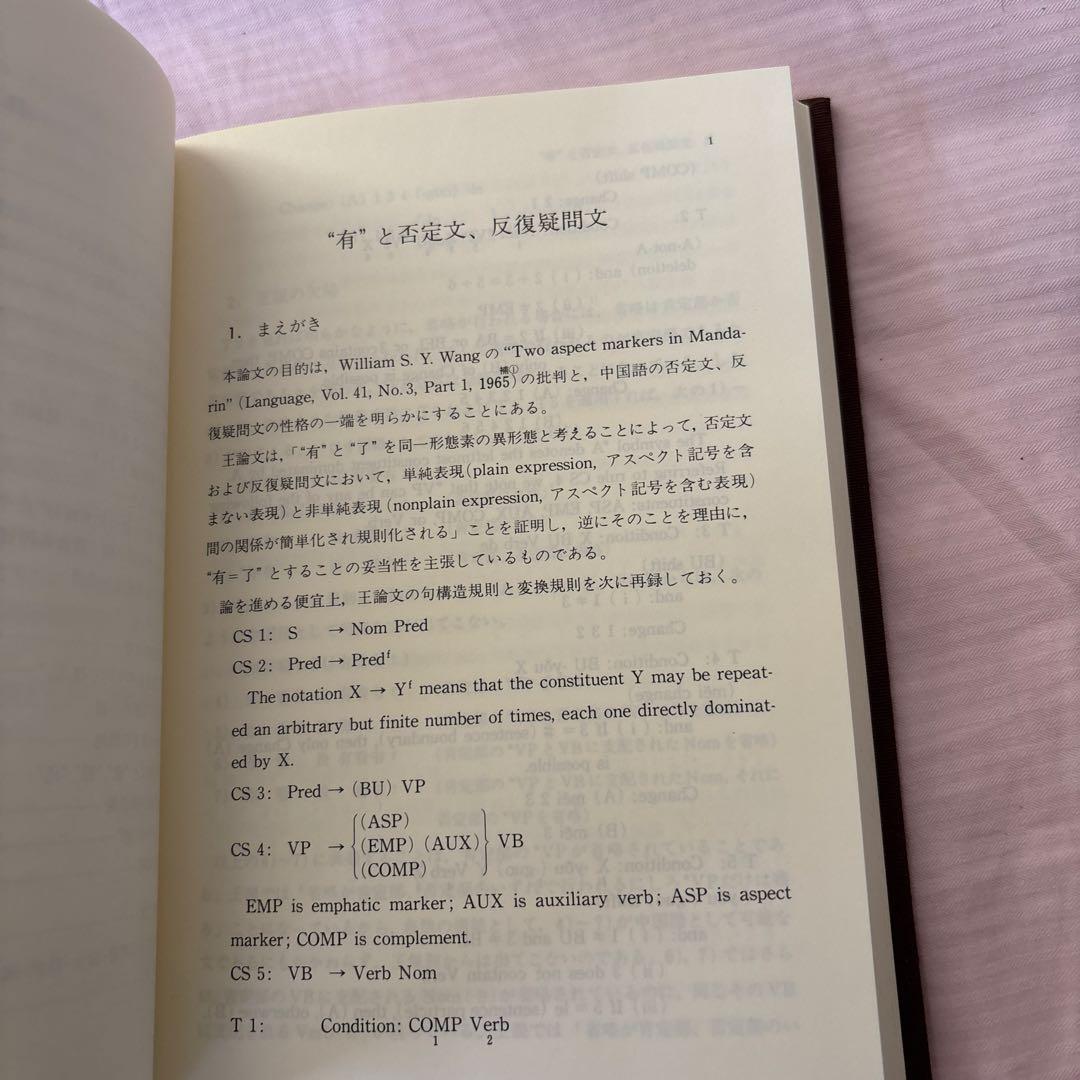 【美品】現代中国語の諸問題　著者:望月八十吉（函付き)