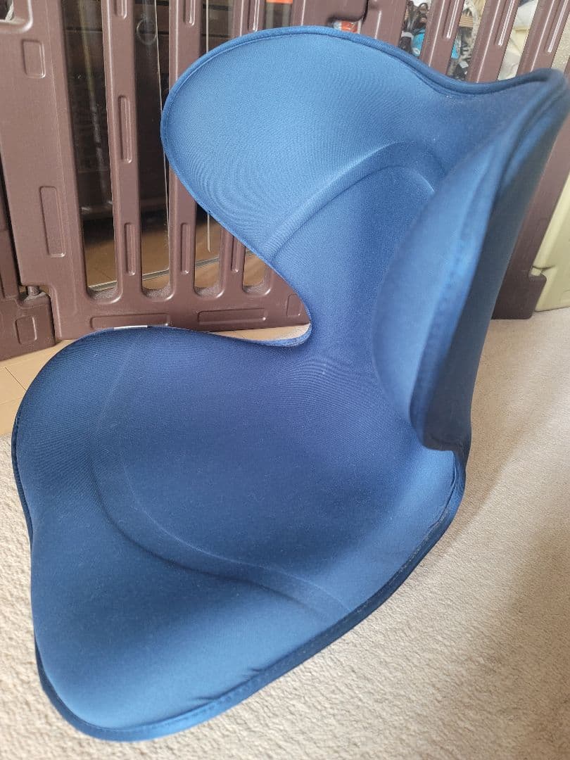 【美品】Style SMART 姿勢矯正用ネイビークッション