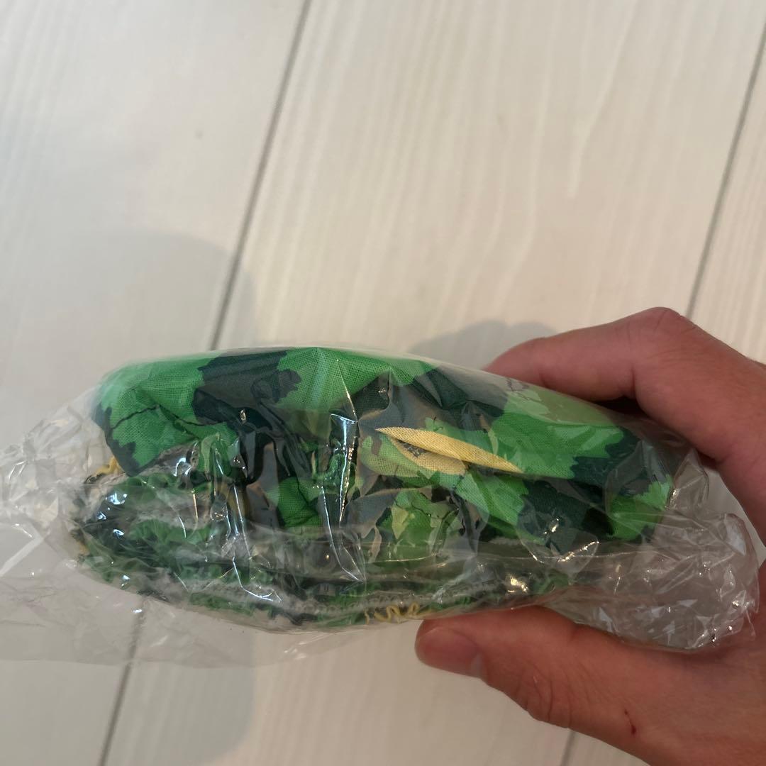 【完品】サザンオールスターズ/すいか アルバム　トランクス・パンティー封入