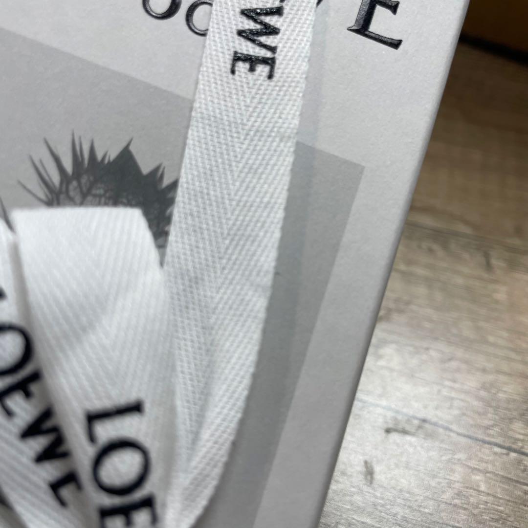 ★LOEWE ロエベ　オードゥパルファン　ロエベ 001 マン　50ml