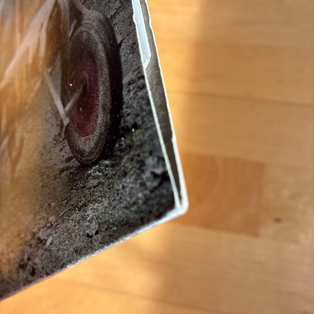 UKオリジナル 12” Oasis / Some Might Say