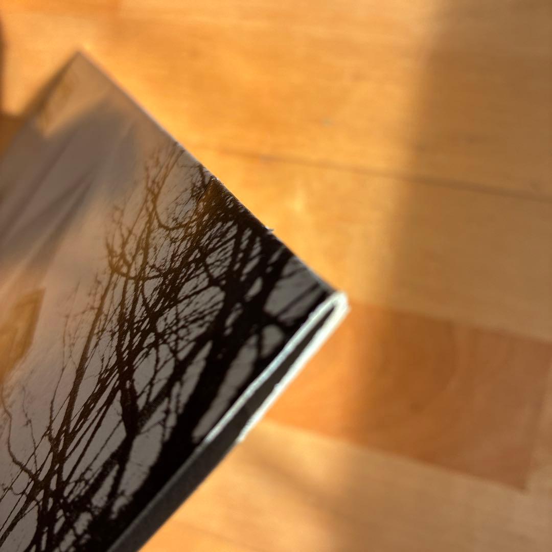 UKオリジナル 12” Oasis / Some Might Say