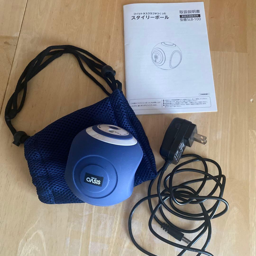 OASIS スタイリーボール 充電器・収納袋付き