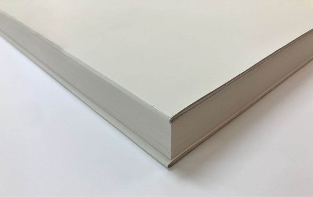 MIES VAN DER ROHE 写真集　上田　義彦