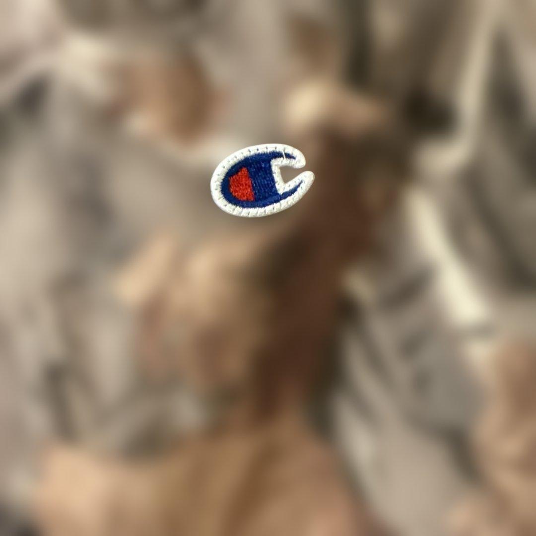 完売品　ビームス別注Champion フルジップパーカ➕スウェット ワイドパンツ