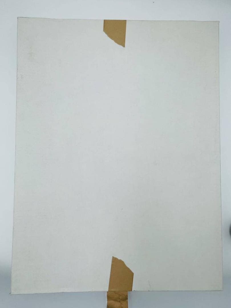 あ*ご様 ときめきメモリアル 藤崎詩織 水着 ジグレー版画 限定50枚 KONA