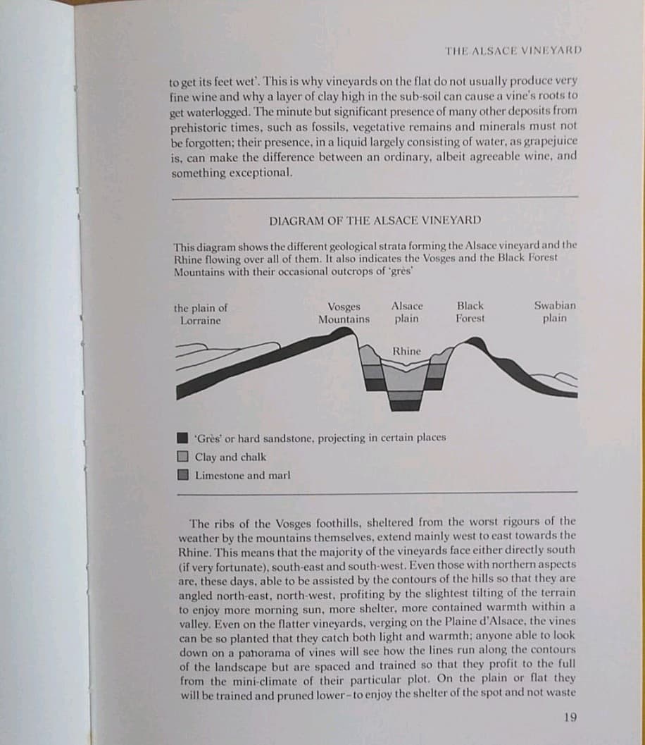 アルザス・ロワールワイン関連書籍 英語版