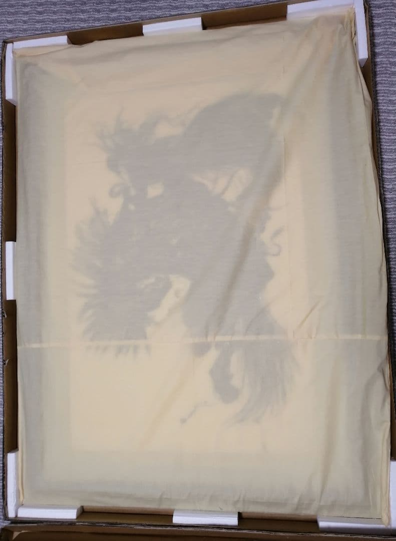 【天野喜孝】翔 -しょう-　リトグラフ／吸血鬼ハンターD