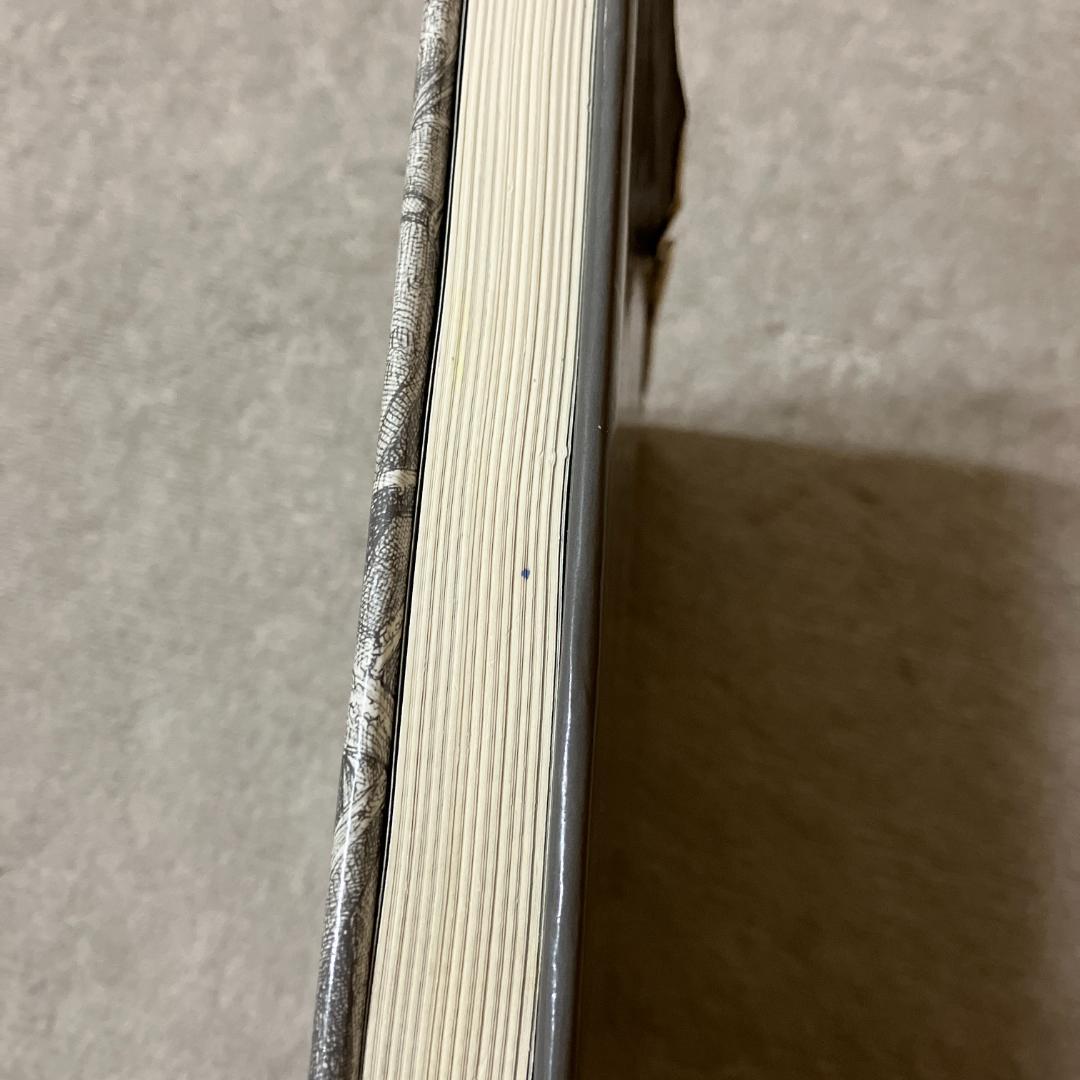 ■MOHLITZ DESSINS■フィリップ・モーリッツ 画集■作品集