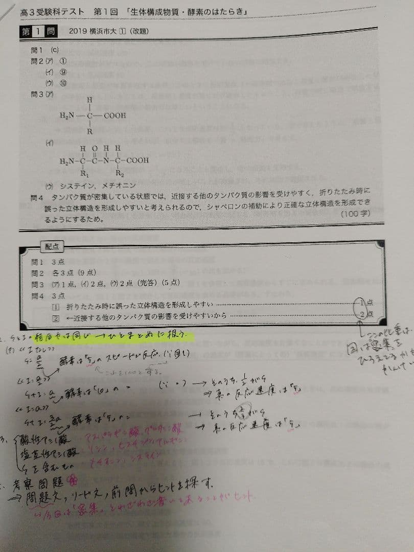 鉄緑会　高3　生物　問題集　テキスト　プリント　セット