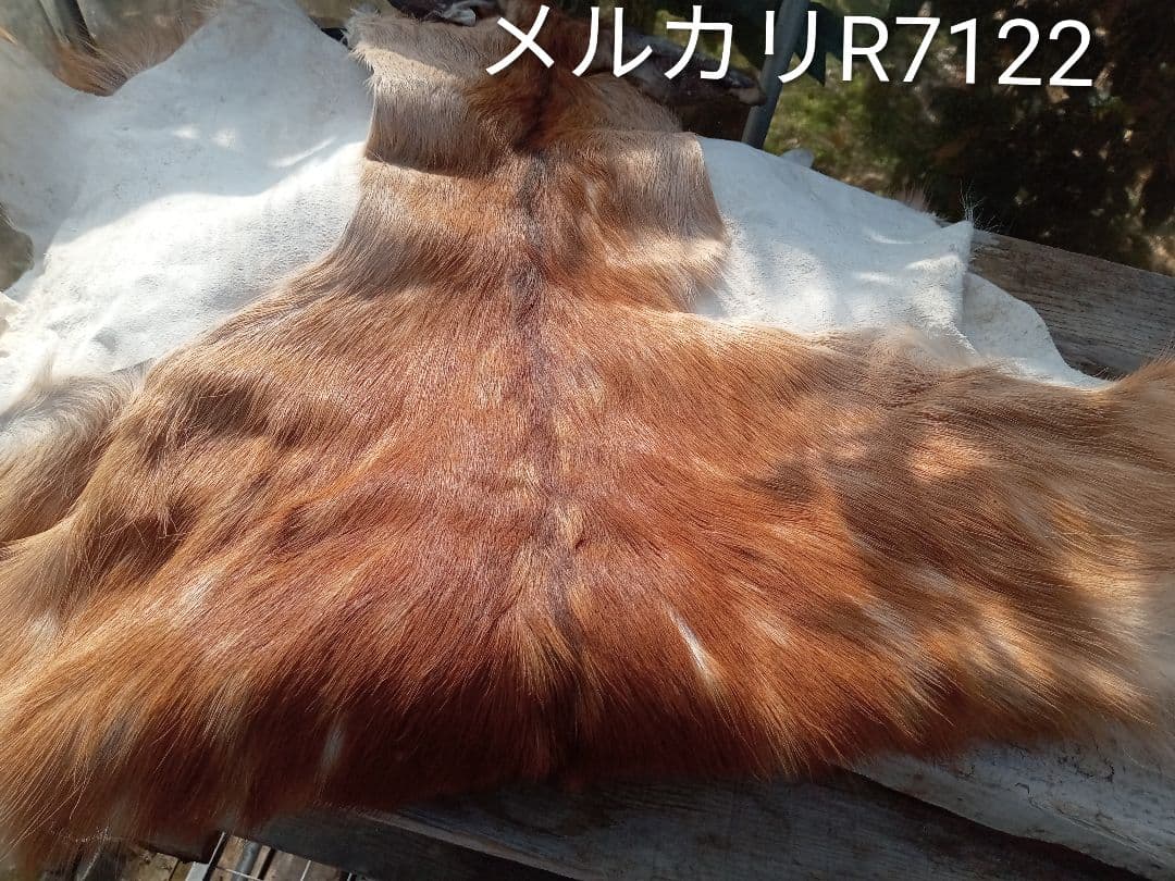 天然　日本鹿　夏毛ラグ