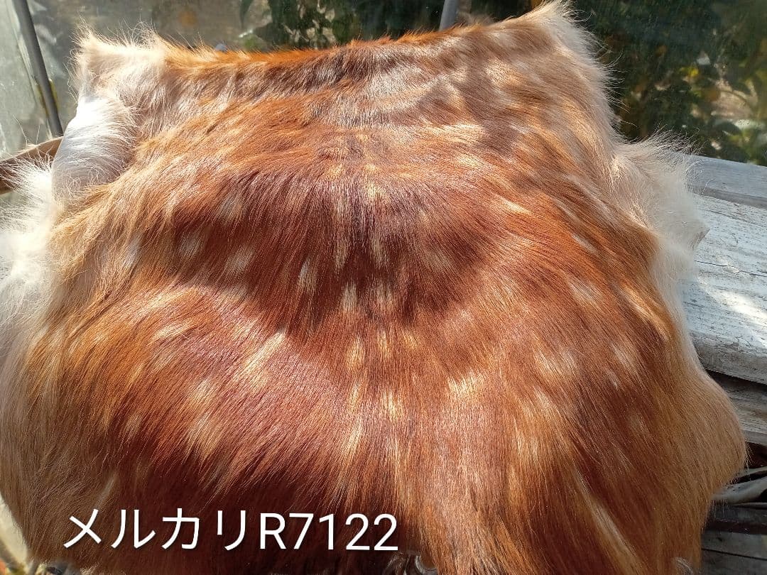 天然　日本鹿　夏毛ラグ