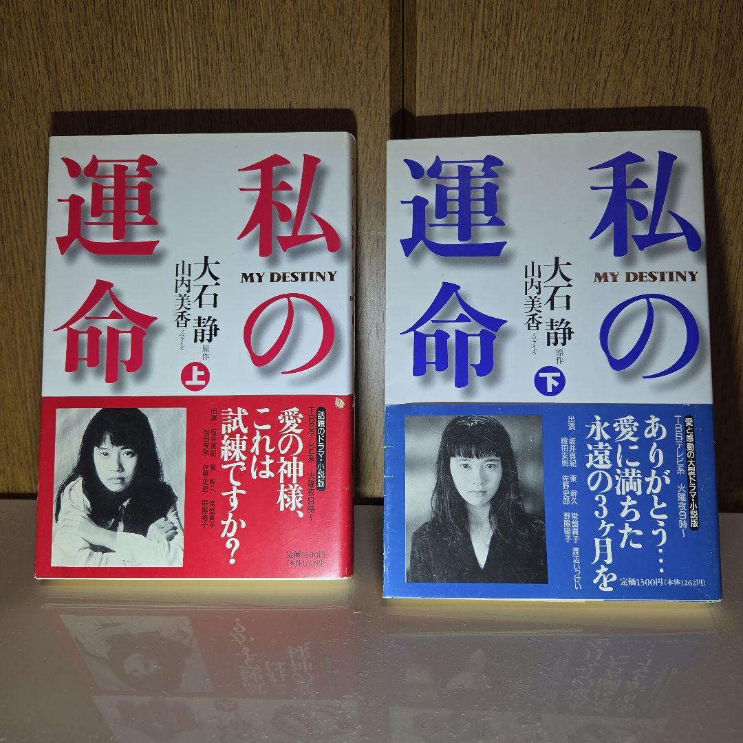 私の運命 上・下