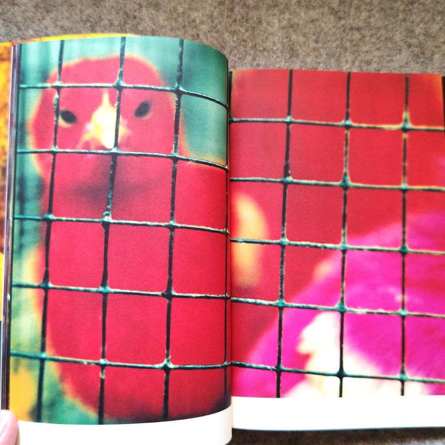 ◆古本◆蜷川実花サイン入り◆ノワール◆女性写真家、映画監督◆蜷川幸雄の娘