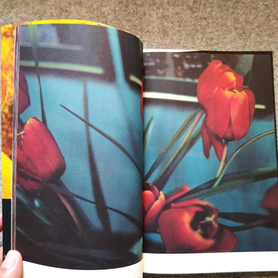 ◆古本◆蜷川実花サイン入り◆ノワール◆女性写真家、映画監督◆蜷川幸雄の娘