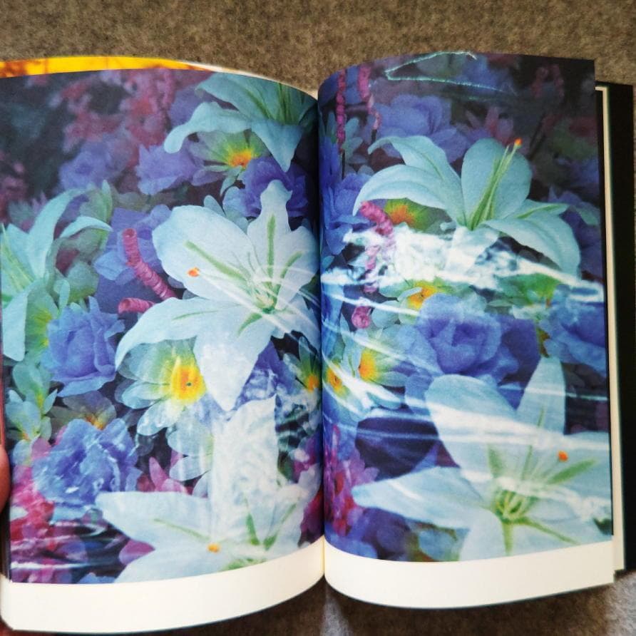 ◆古本◆蜷川実花サイン入り◆ノワール◆女性写真家、映画監督◆蜷川幸雄の娘