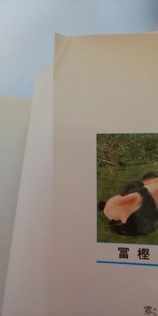 HUNTER×HUNTER 1~36巻セット