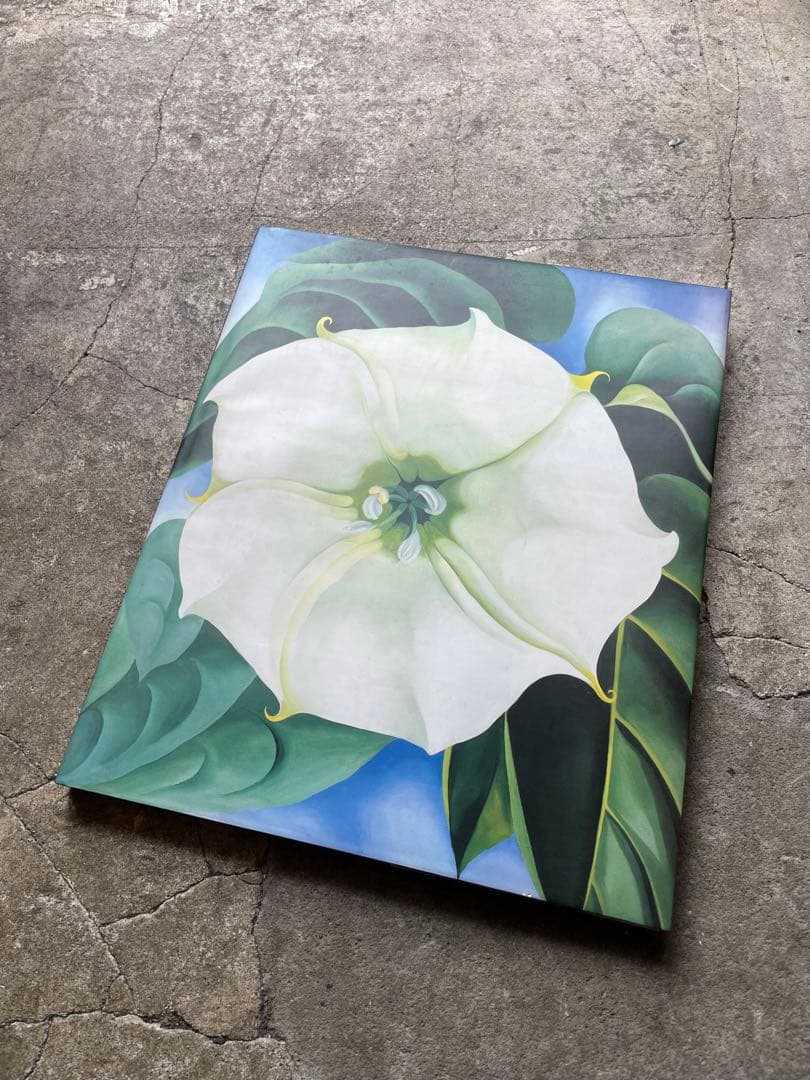 大型本　オキーフ画集 「花」　100頁　ニコラス・キャラウェイ/編・著