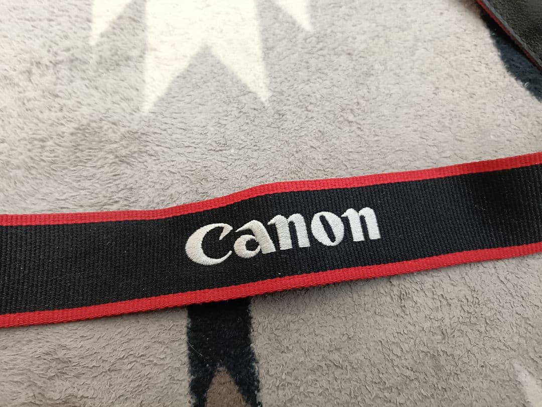 Canon EOS 5D MarkⅡ ジャンク