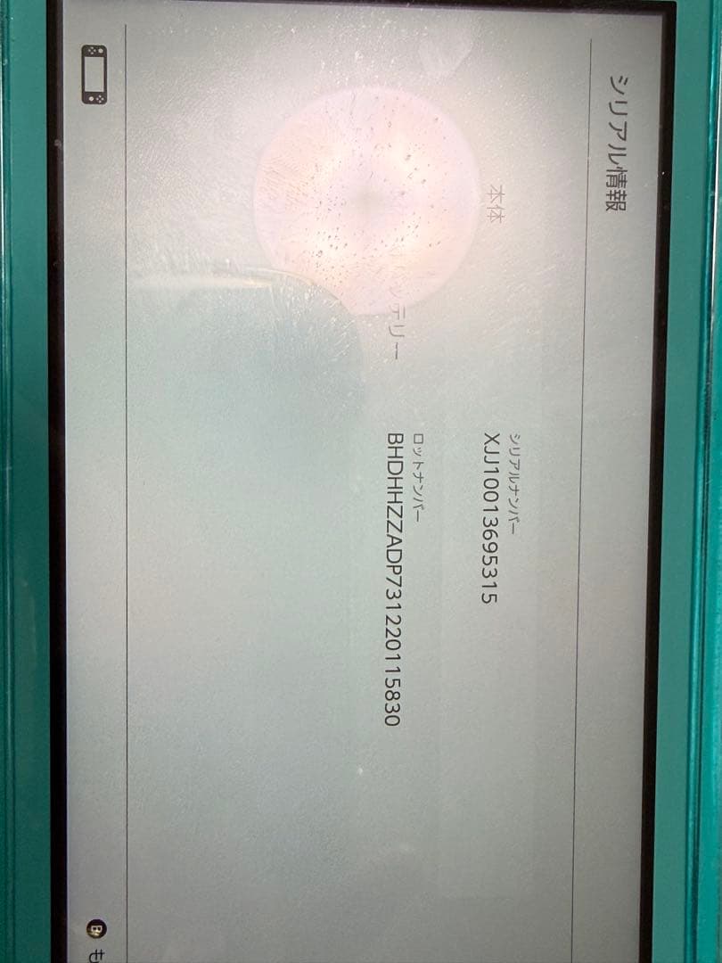 Nintendo Switch light ターコイズ 本体 ケース付き