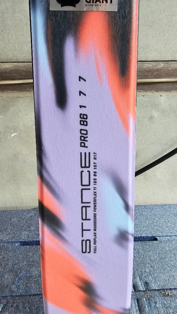 Salomon STANCE PRO 86 177cm スキー