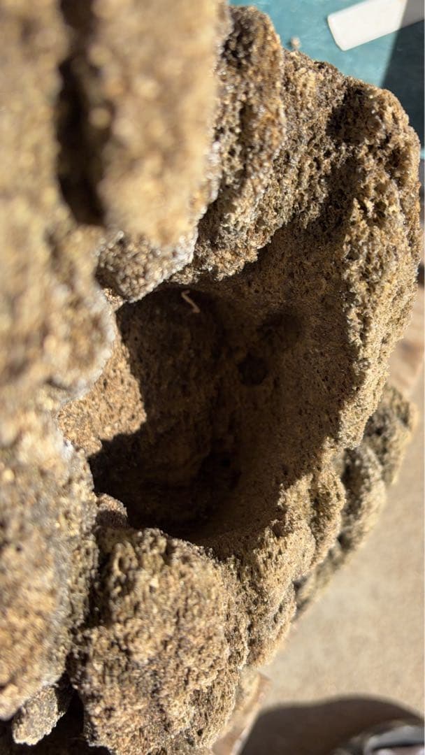 Kevin　雲山石 溶岩石鉢　レイアウト穴7個　水抜き穴あり