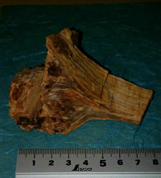 56 伽羅、六国五味、聞香、香木、沈香「天然ブルー白檀根瘤41,1g」