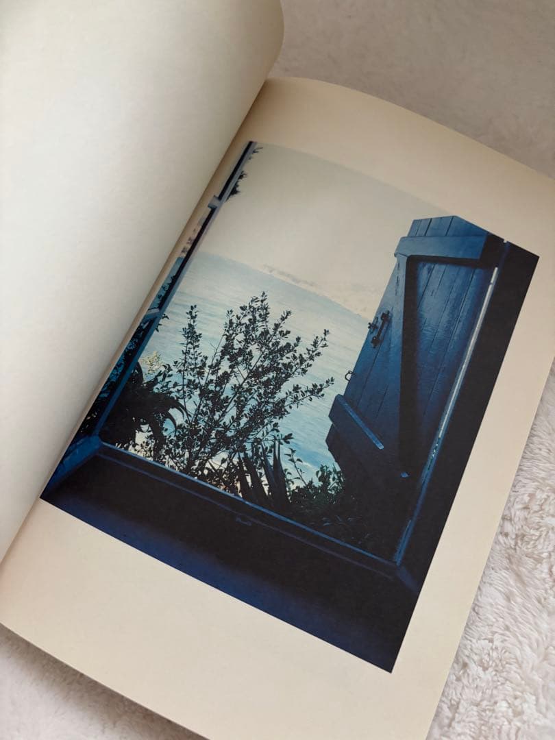 ホンマタカシ Architectural Landscapes 1冊、DM1部