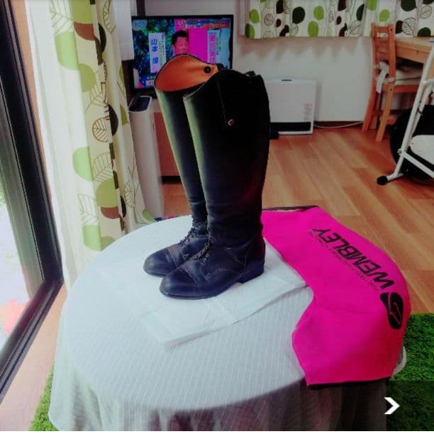 乗馬　即購入大歓迎！今日限定！