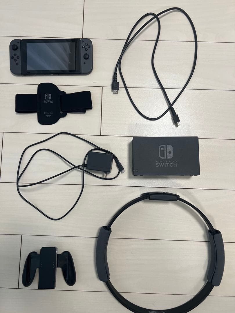 Nintendo Switch Lite グレー 本体 付属品セット