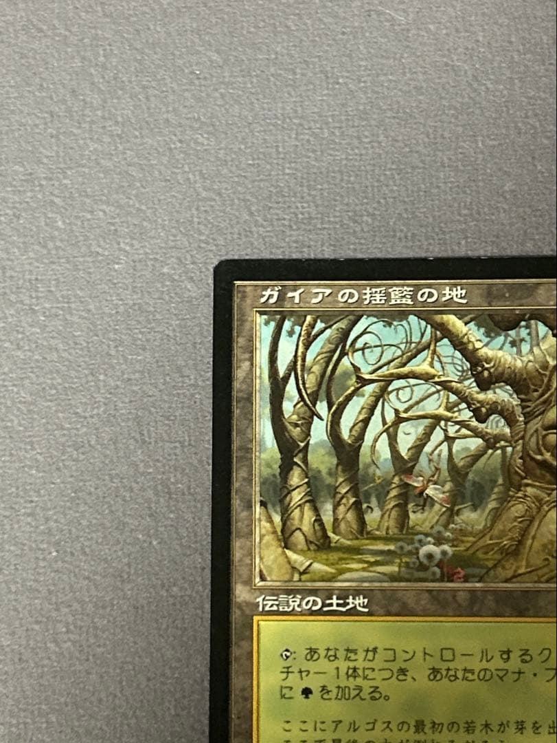 ガイアの揺籃の地 2枚 日本語版 英語版 MTG