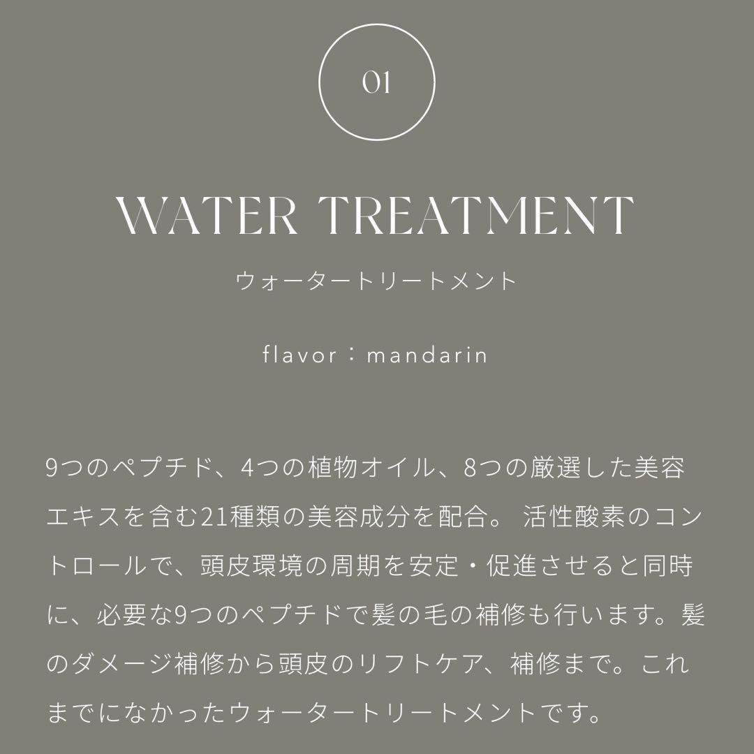 ビーツ スーパーウォータートリートメント リペアシャンプー リペアトリートメント