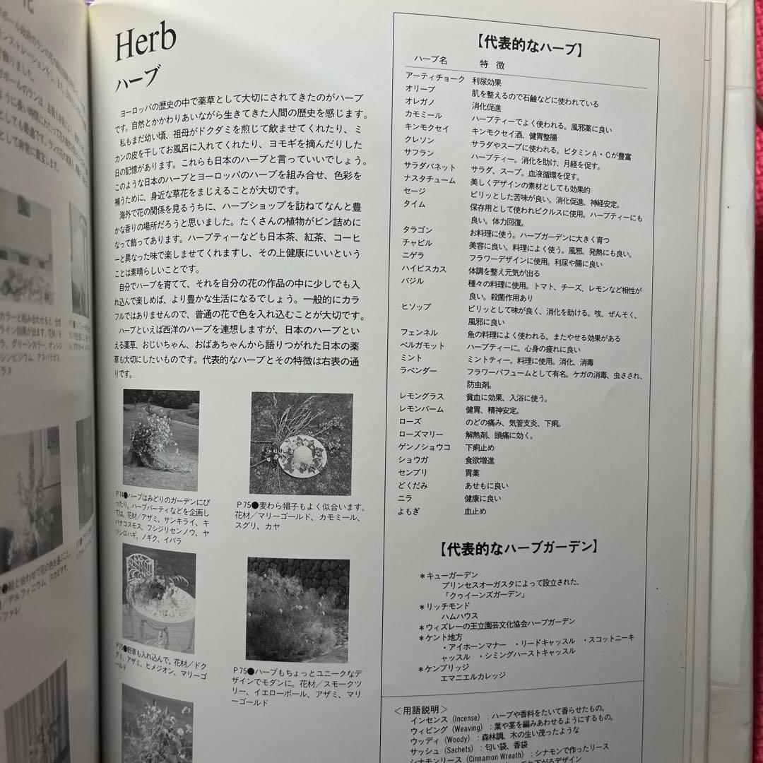 【希少】花浪漫 新しい花仕事の提案