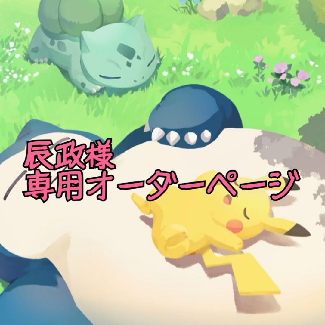 辰政 プラプラオーダー