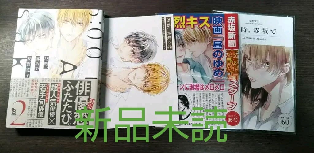 25時、赤坂で2 夏野寛子 小冊子 リーフレット付き