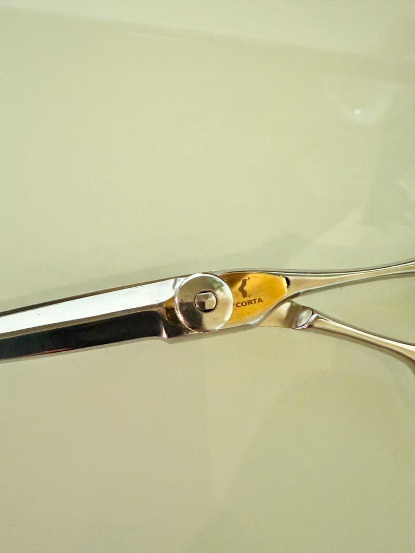 コルタシザー　　SG7