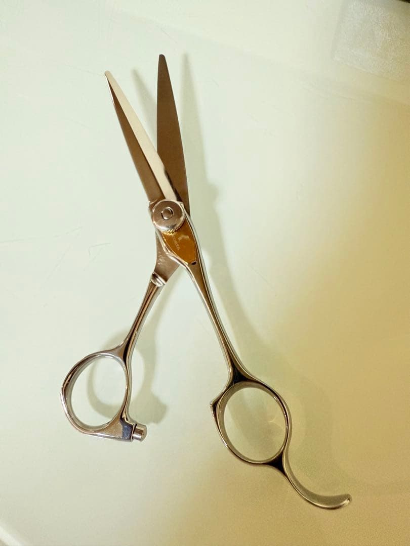 コルタシザー　　SG7