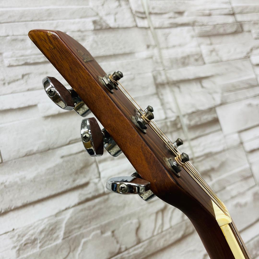 Pro Session エレアコ