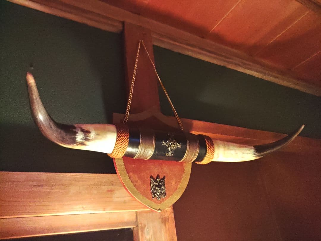 バッファロー　角　ホーン　天然　貴重　アメリカ　アンティーク　ヴィンテージ　牛革