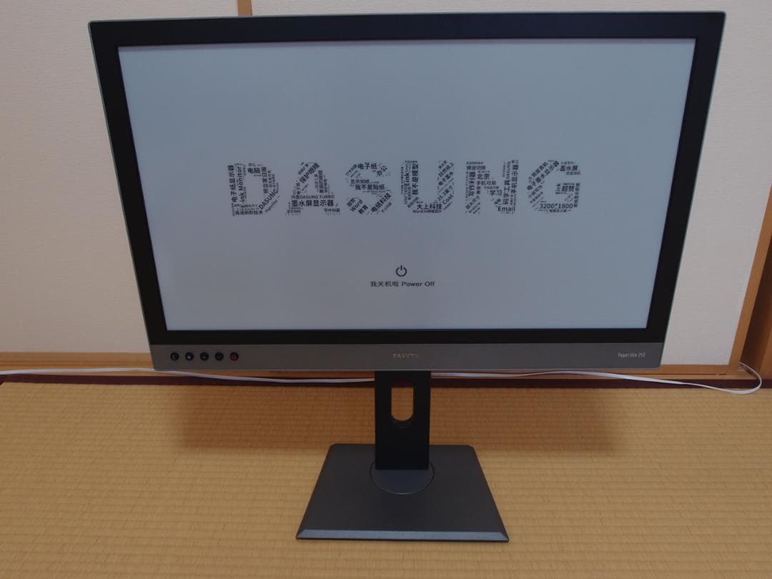 DASUNG Paperlike 253 E-ink モニター　（モノクロ版）