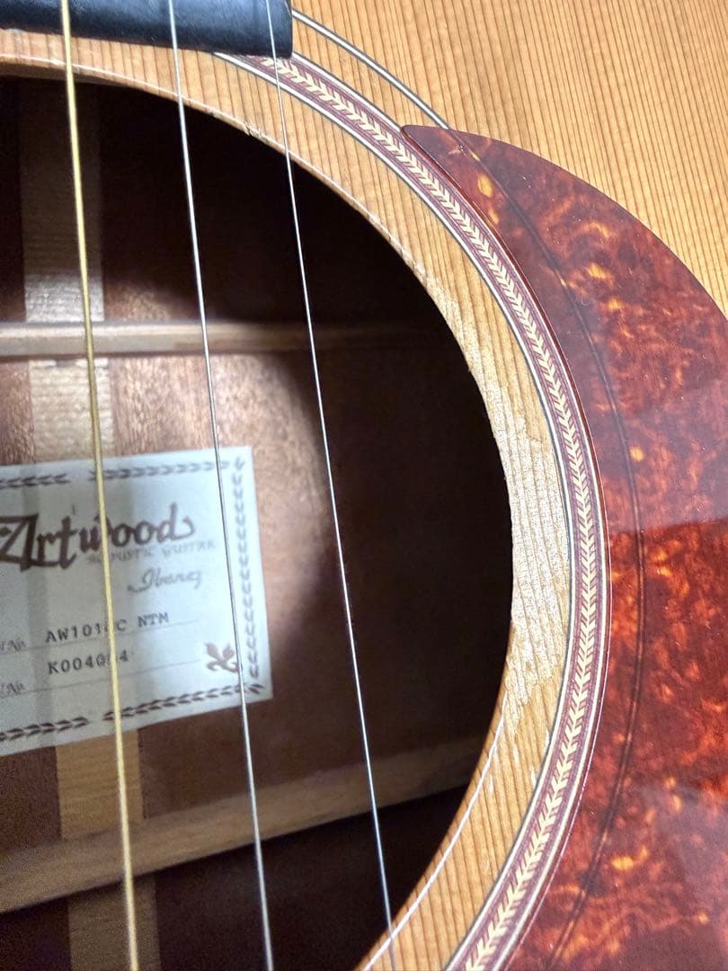 ギター Ibanez Artwood AW1010C