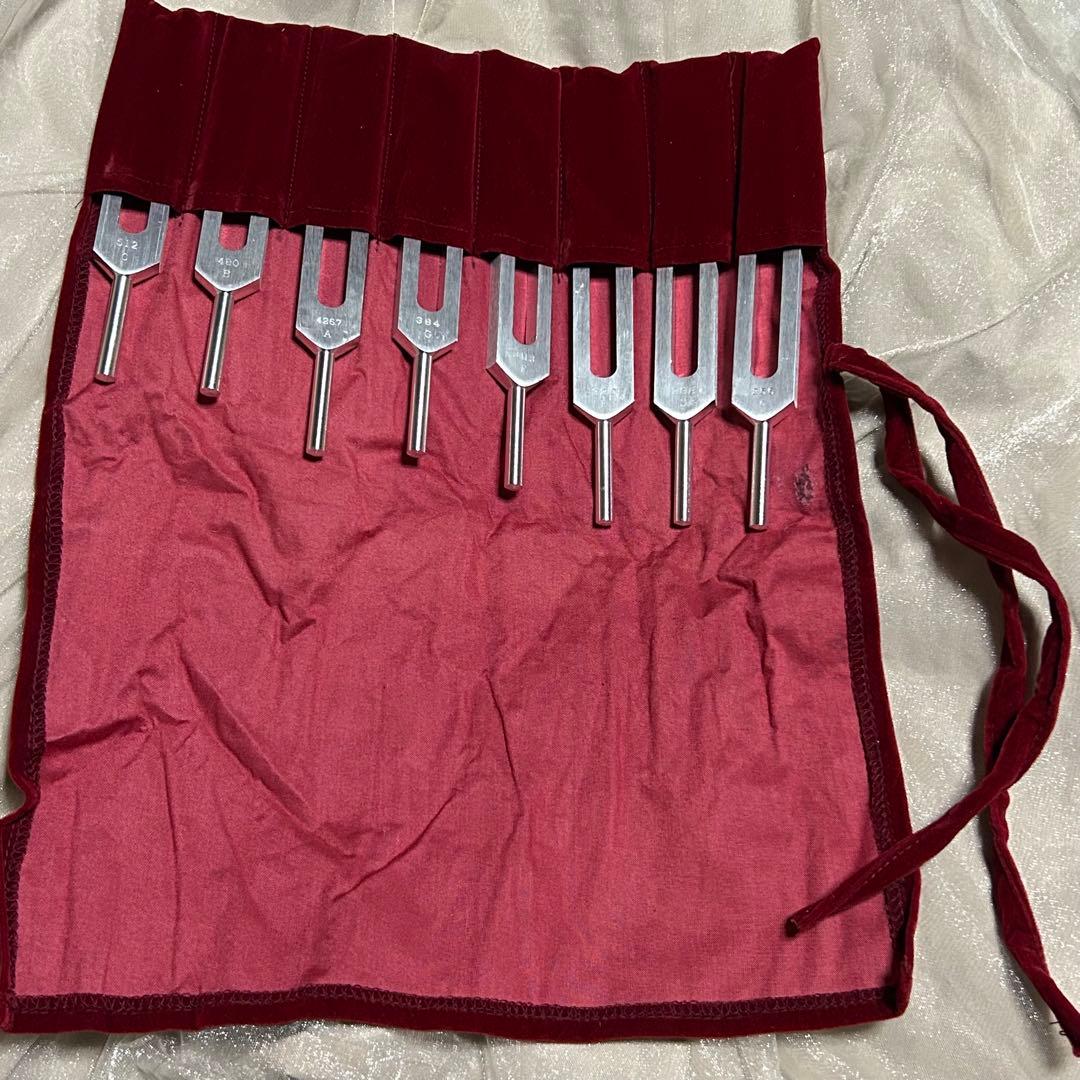 BIOSONICSソーラーハーモニックチューナー 8本チャクラ対応