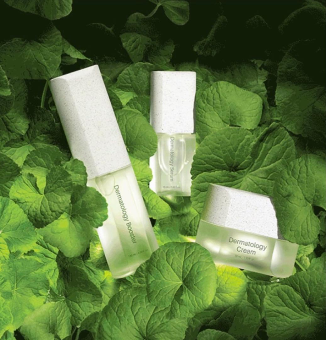 【正規品】ICD化粧品インセルダム ブースターセラムクリームセット