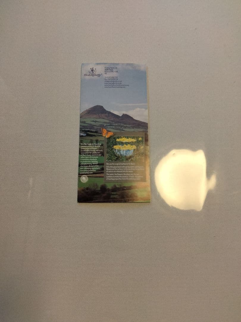 オマケ付08/2035■ヒーリングハーブス社フルセット■バッチフラワーレメディー