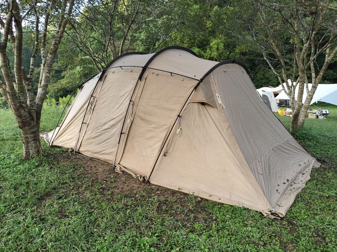 【オフシーズン割！！】サバティカル　アルニカ