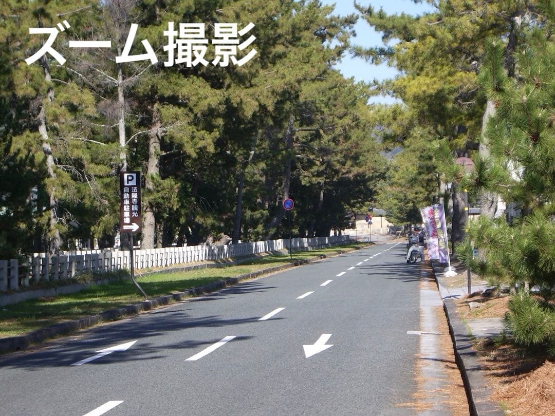 乾電池式/実写美⭕️【動作確認済】　PENTAX Optio S55