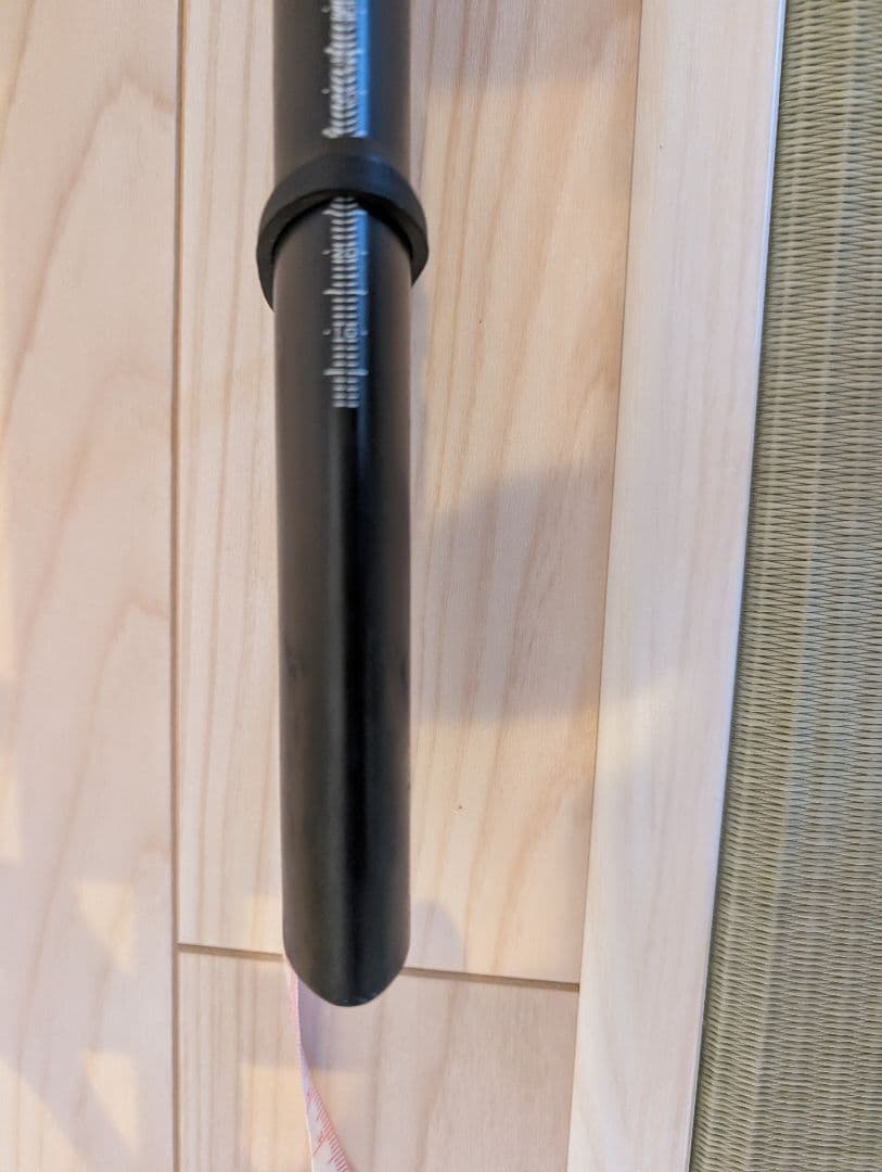 GIANT TCR advanced PRO team Sunweb フレーム