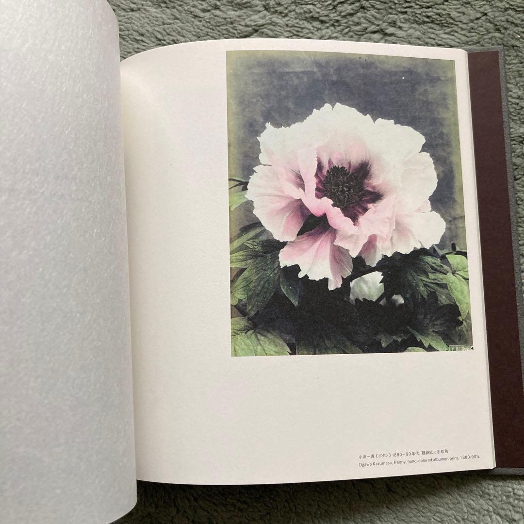 【非売品　レア】「東京墓情 荒木経惟×ギメ東洋美術館」カタログ　写真集