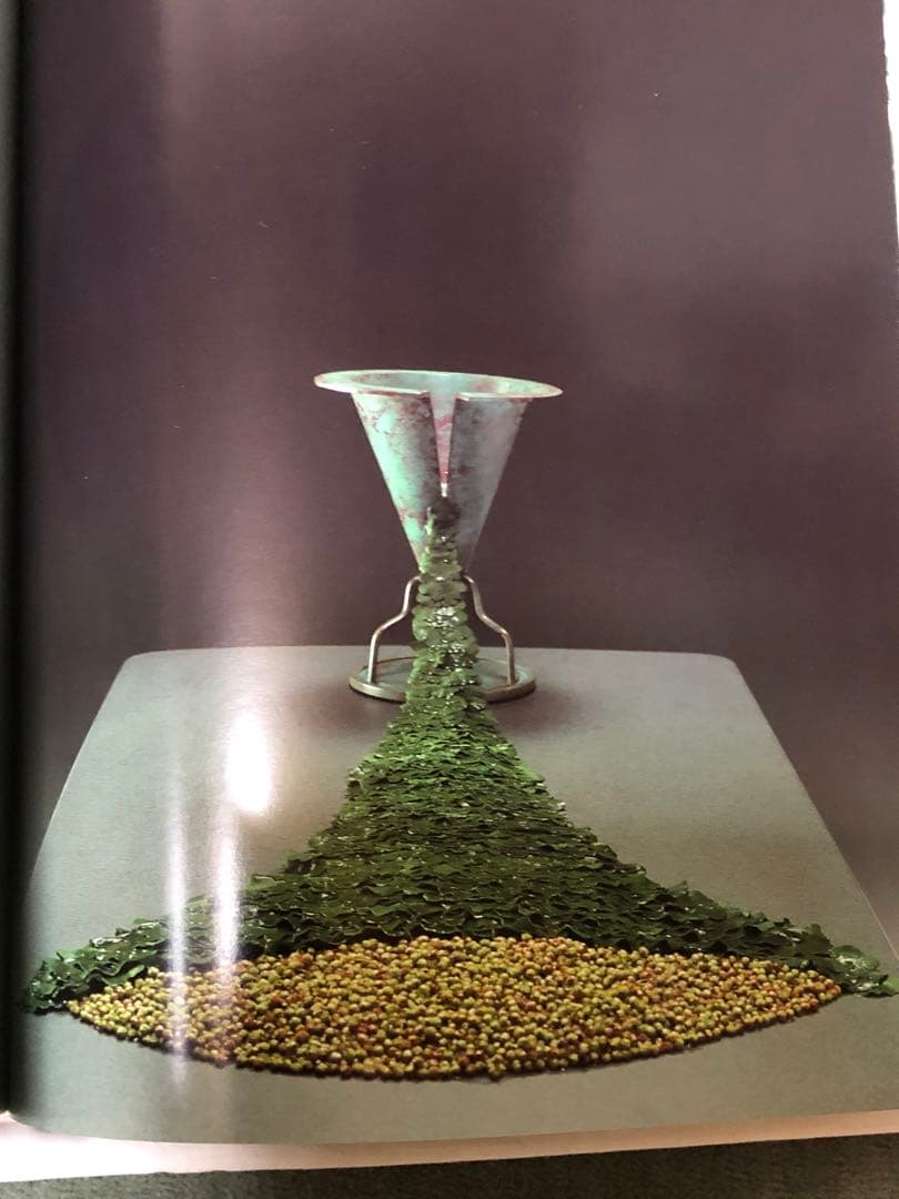 DANIEL OST ダニエル・オスト　フラワーアート豪華写真集　美しい写真満載